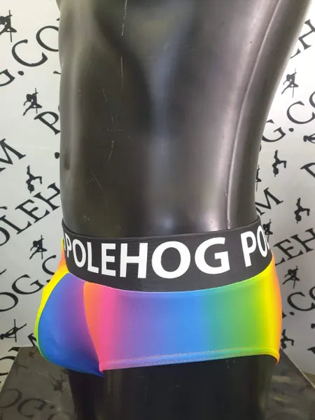 Rainbow with Polehog bands male brief