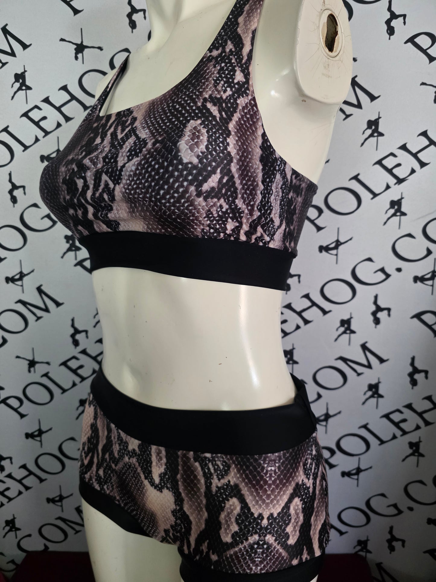 Brown snake bottoms