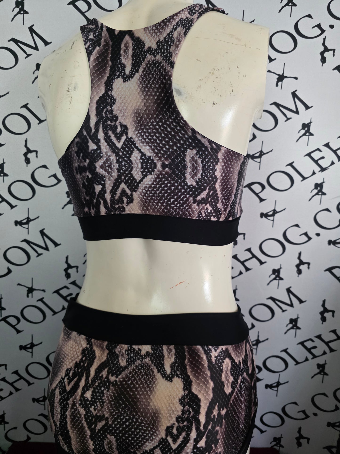 Brown snake bottoms