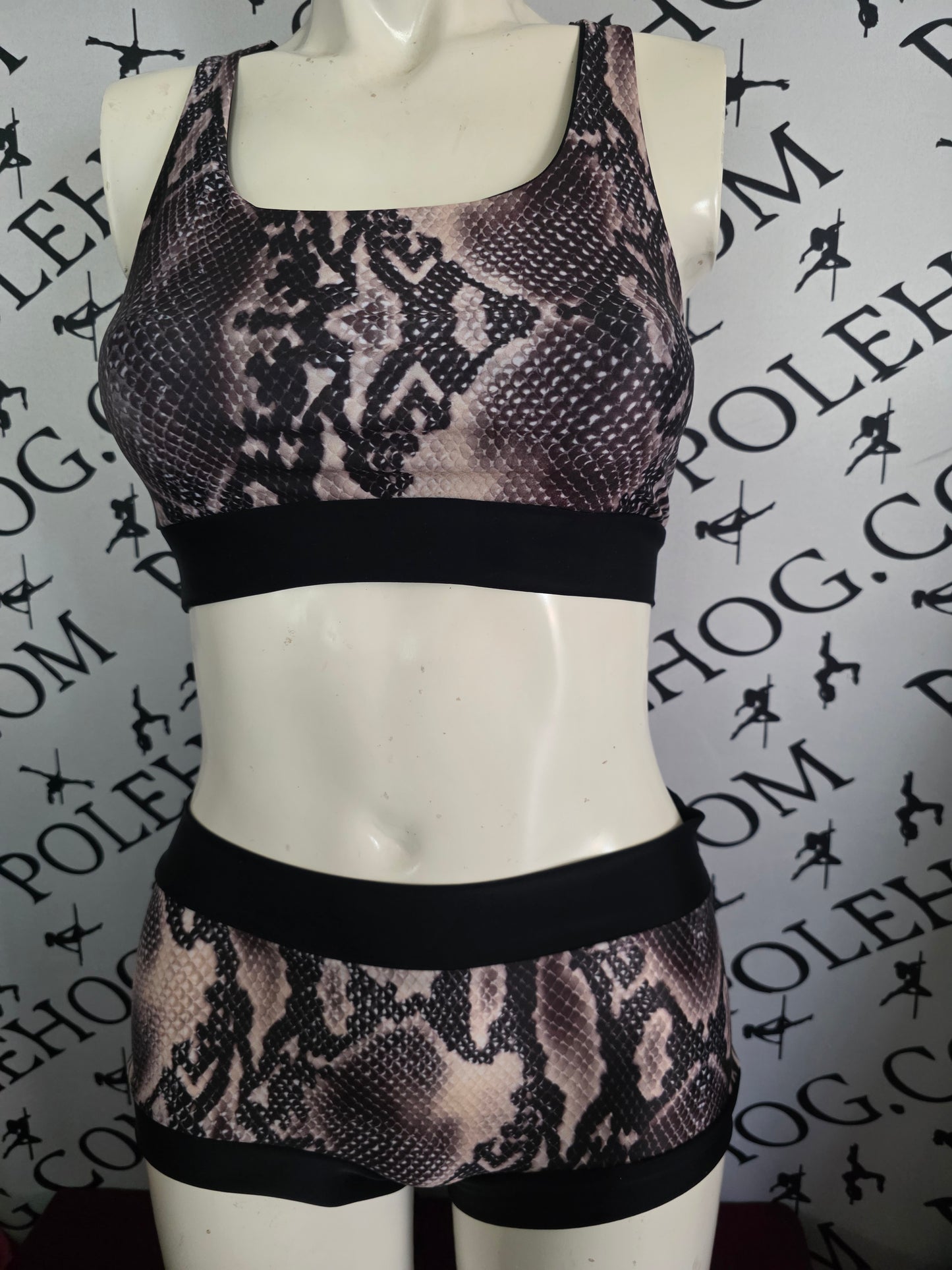 Brown snake bottoms
