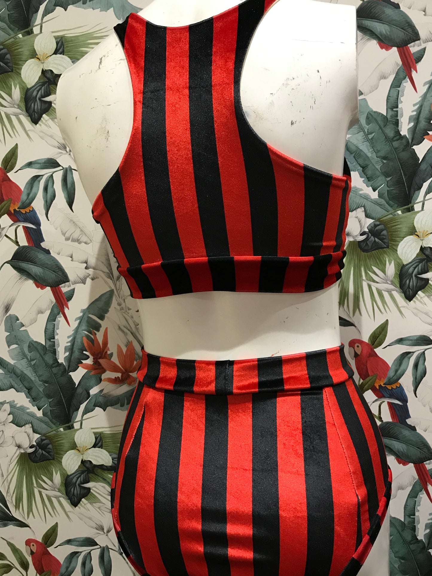 Red and black stripe velvet high waisted fitted pant.