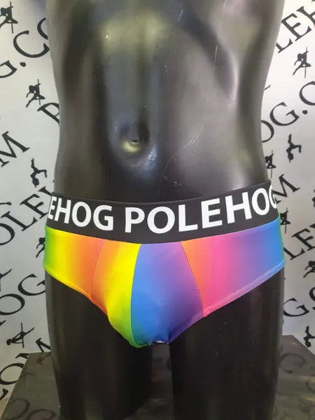 Rainbow with Polehog bands male brief