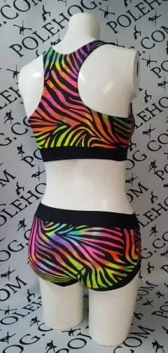 Zebra rainbow top